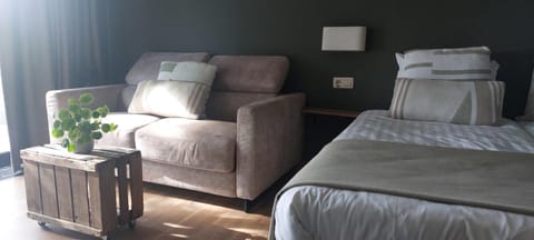 Bed, Seating area, Bedroom