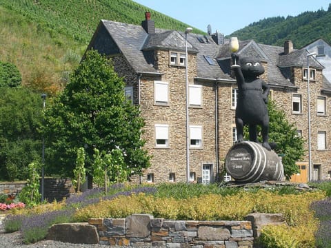 Mosel Ferienhaus Kleine Merle Apartment in Cochem-Zell