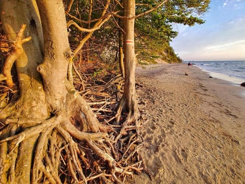 Domek nad morzem Wisełka House in West Pomeranian Voivodeship, Poland