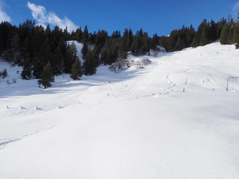 Tgantieni Sot - Apartment mit Herz Apartment in Canton of Grisons