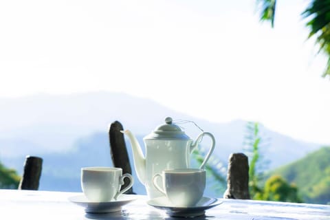 Coffee/tea facilities, Mountain view