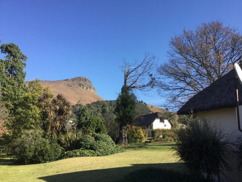 Natural landscape, Garden, On site
