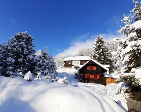 Property building, Winter