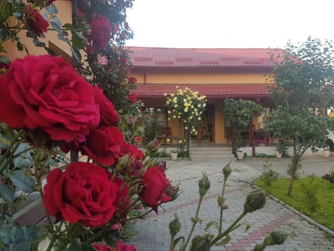 Property building, Patio, Facade/entrance