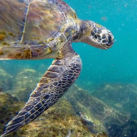 Edificio caminho do sol Apartment in State of Rio de Janeiro