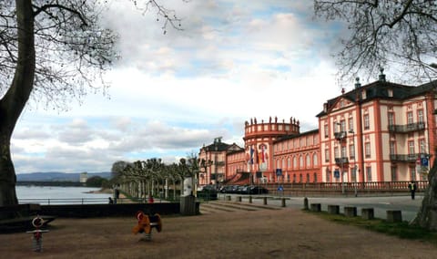 Ferienwohnung-Wiesbaden-Top3 Apartment in Wiesbaden