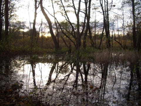 Natural landscape, Other