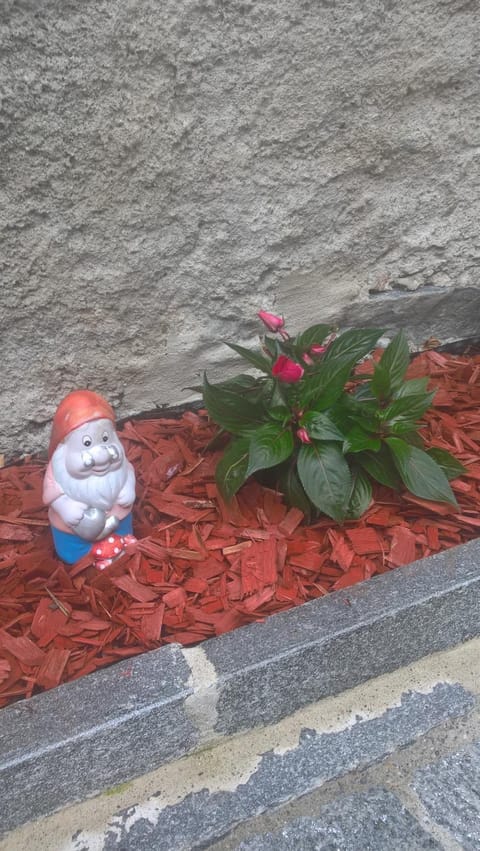 ca da la nona Apartment in Canton of Ticino