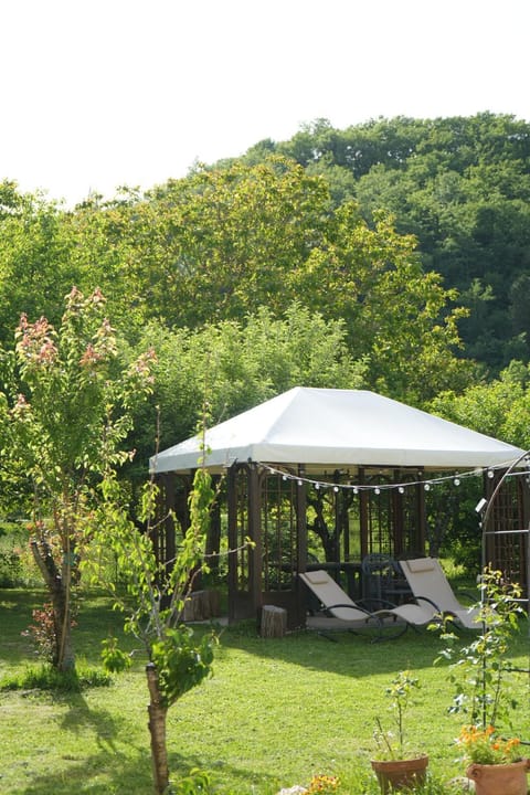 Patio, Spring, Day, Natural landscape, Garden view