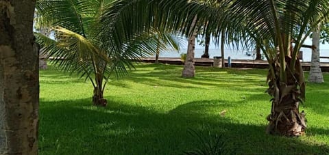 Garden, Sea view