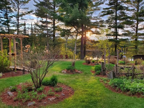 Natural landscape, Garden