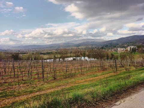 Bed And Breakfast Loriana Apartment in Arezzo