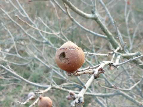 Bed And Breakfast Loriana Apartment in Arezzo