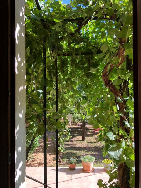 Les Lauriers Bed and Breakfast in Brignoles