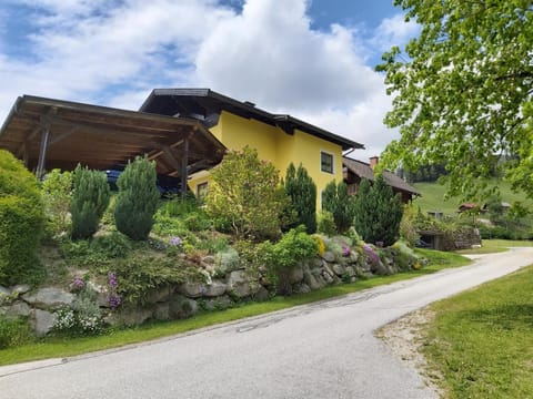 Haus Silvia Kraml Bed and Breakfast in Schladming