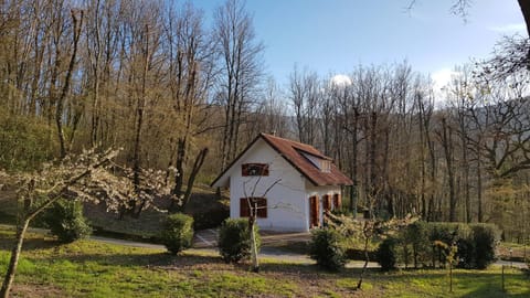 Property building, Natural landscape, Garden view