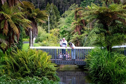 Natural landscape, River view, Family