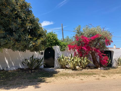 Villa Sara di Puglia House in Province of Taranto