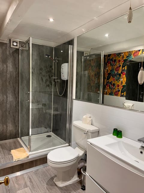 Henwick house accommodation, Continental breakfast included Bed and Breakfast in Ludlow