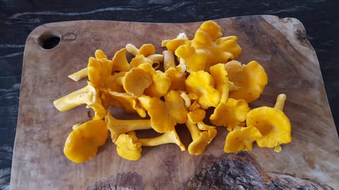 Autumn, Area and facilities