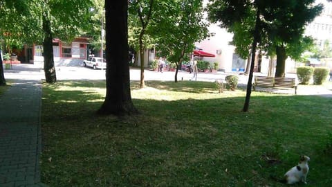 Soba Centar Apartment in Federation of Bosnia and Herzegovina