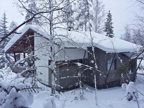 Saimaa Style Spa Chalet Apartment in Finland
