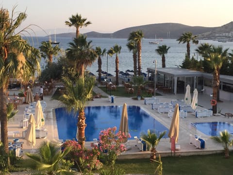 Bird's eye view, Pool view, Swimming pool, Swimming pool