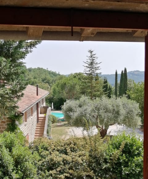 Garden view, Swimming pool