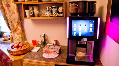 Pension Waldesruh/Halseralm Bed and Breakfast in Schladming