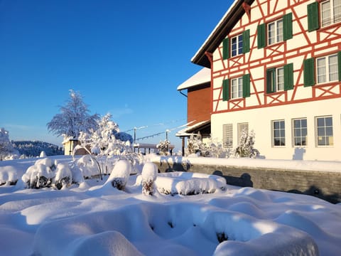 Property building, Winter