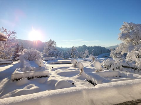 Property building, Winter