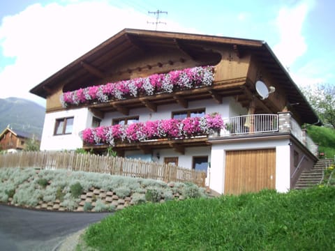 Property building, Natural landscape, Summer, Garden, Garden view