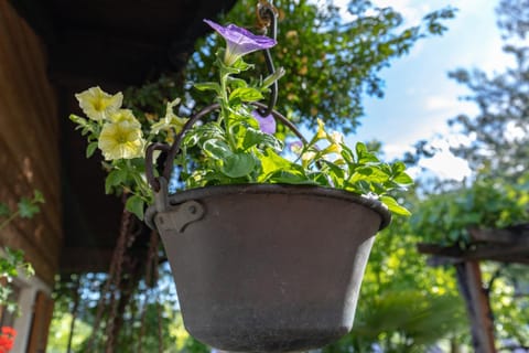 On the River Apartment in Trentino-South Tyrol