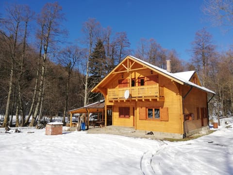 Chalet by the river Nature lodge in Timiș County