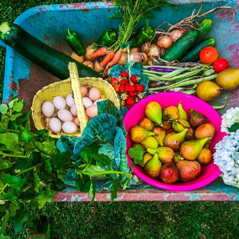 Casa de Requeixo House in Viana do Castelo District, Portugal