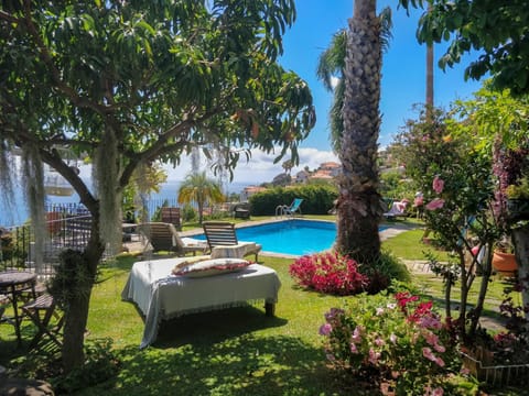 Natural landscape, Garden, Swimming pool, sunbed