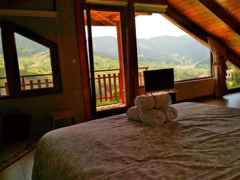 Photo of the whole room, Mountain view