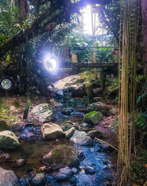 Natural landscape