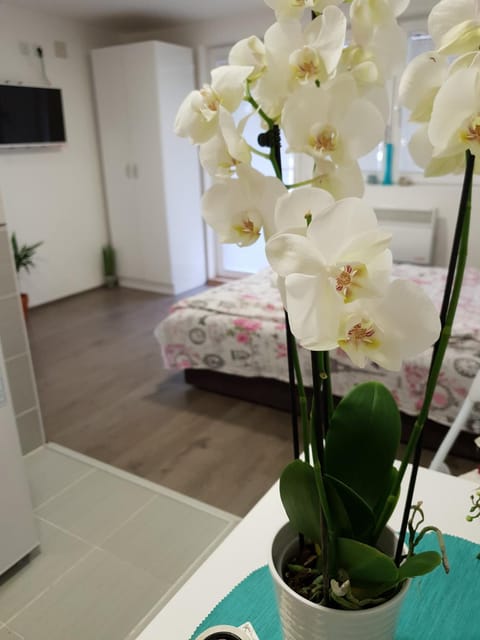 Vila Stefanovic Bed and Breakfast in Serbia