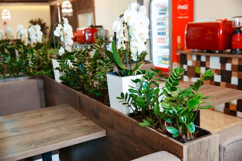 Lounge or bar