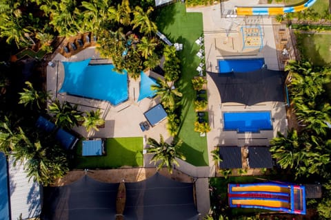 Bird's eye view, Swimming pool, sunbed