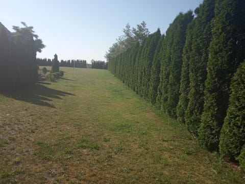 Domki całoroczne nad zalewem Nature lodge in Swinoujscie
