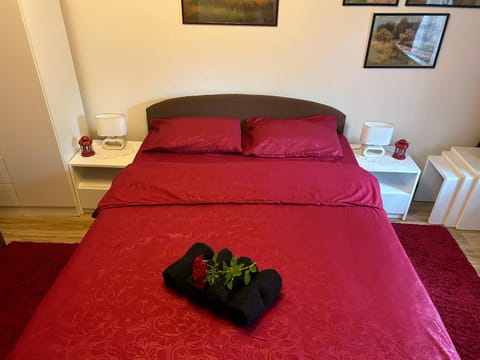 Apartment Sunce Apartment in Vojvodina