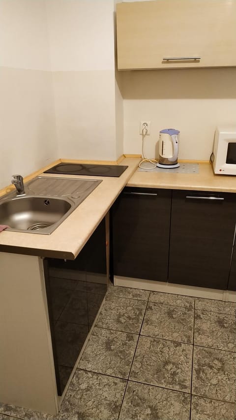 Gdańska 5 Apartment in Pomeranian Voivodeship