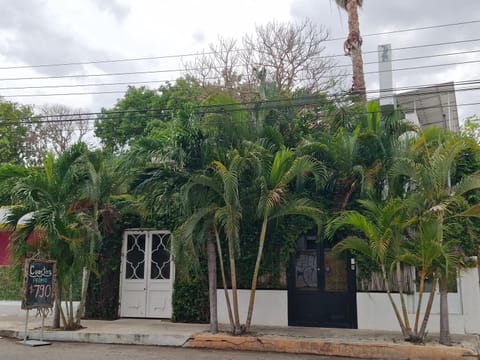 Property view