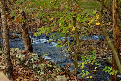 Jon's Pond House in Cosby