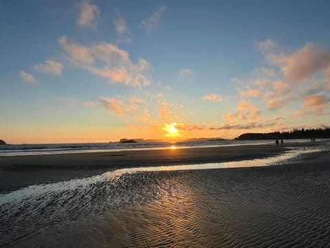 Seafarer Bed & Breakfast Bed and Breakfast in Tofino
