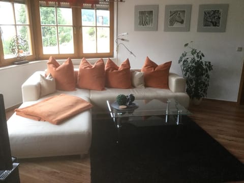 Living room, Photo of the whole room