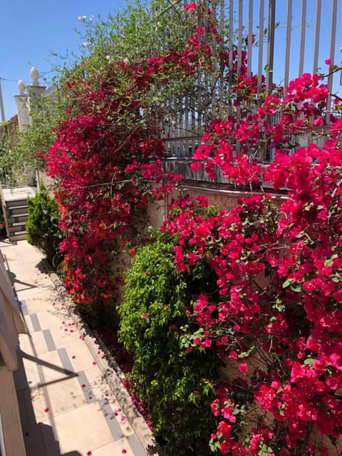 Golden Mile B&B Bed and Breakfast in Ercolano