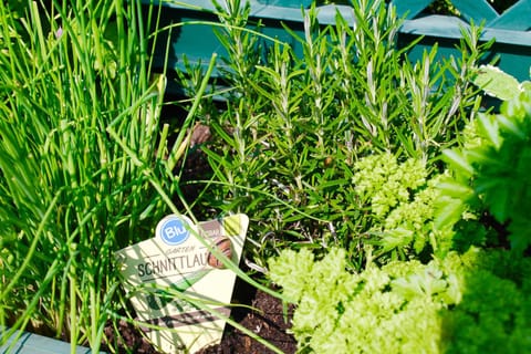 Ostseehaus Prerow Apartment in Prerow